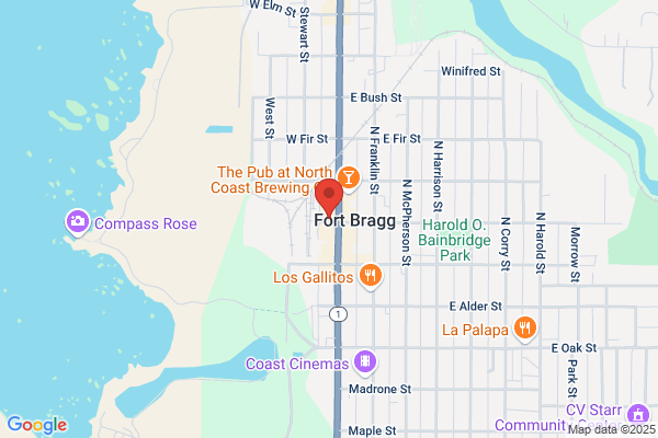 Lamb Deirdre Photography Studio