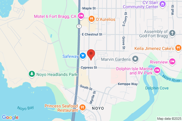 Noyo Enterprises