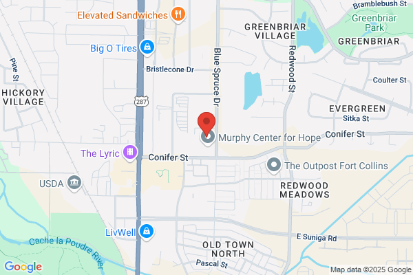 Fort Collins Foreign Car Service