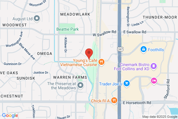 Mountain View Systems