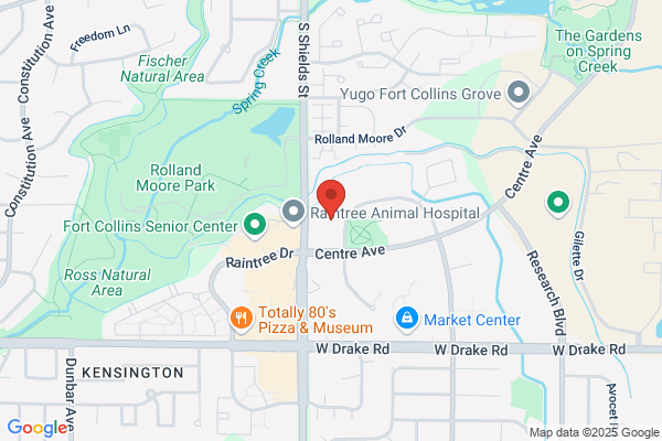 Oral & Maxillofacial Surgery Associates Llc