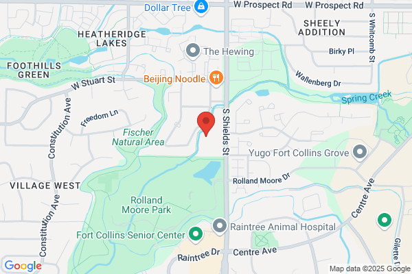 The Fort Collins Dentist - Family & Implant Dentistry