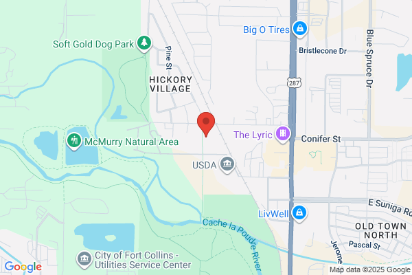 Deines Custom Door