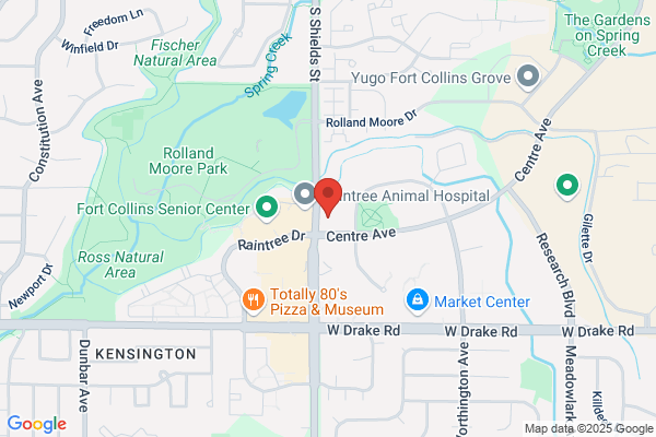 Ebert Orthodontics