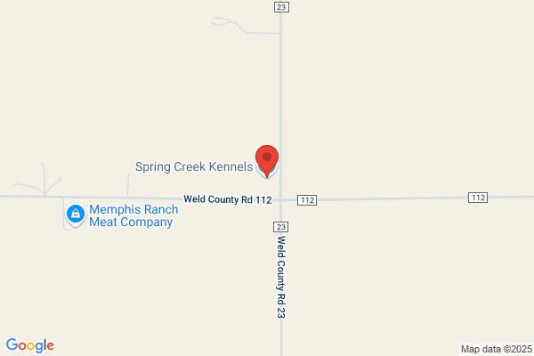 Country Squire Kennels