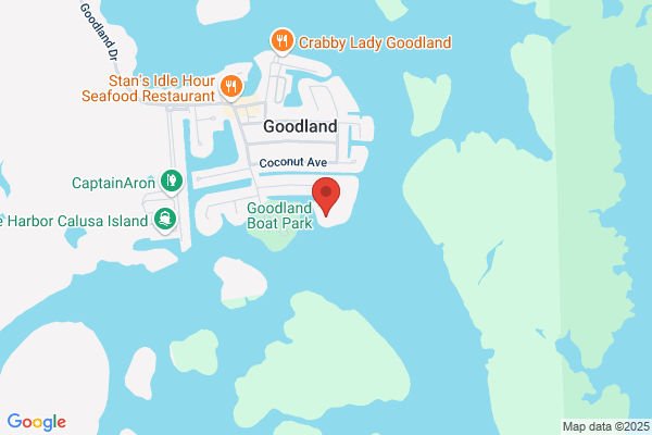 Sand Dollar Tours