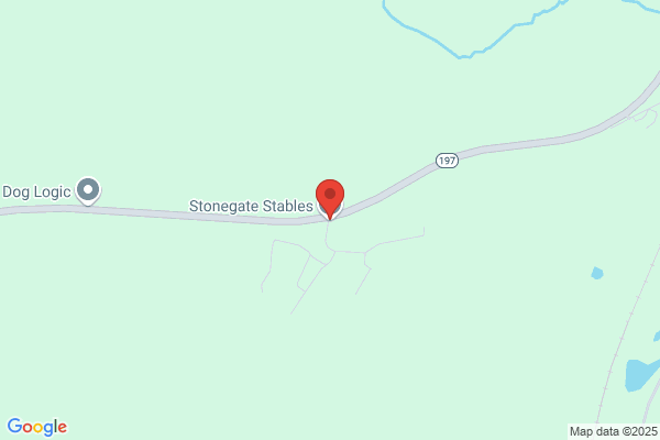 Stonegate Stabless
