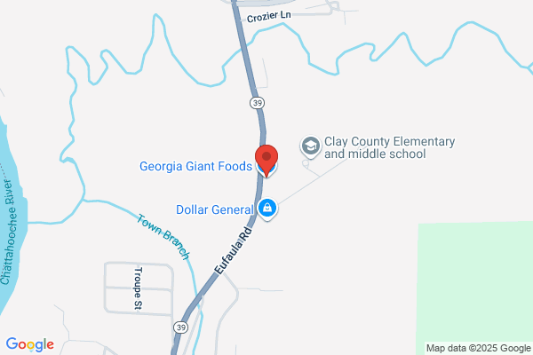 Georgia Giant Foods
