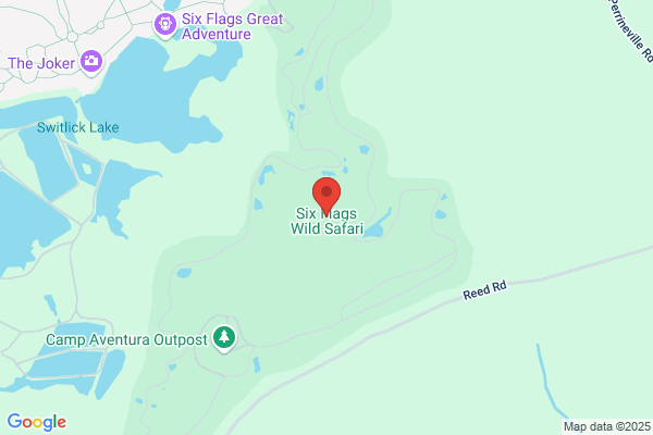 Safari