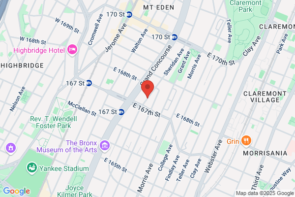 Levine David E Attorney