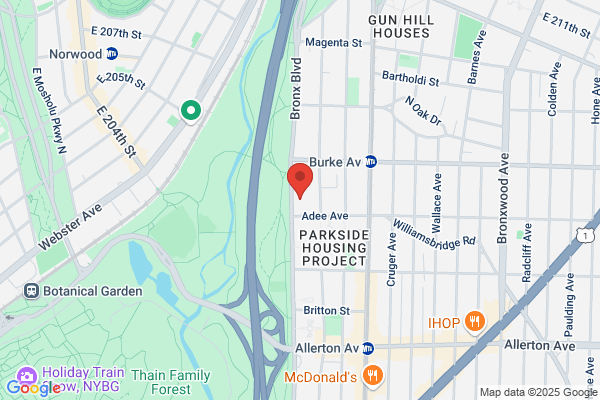 Bronx Massage Therapy