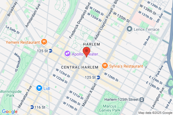 Harlem-Dowling Children's Svce