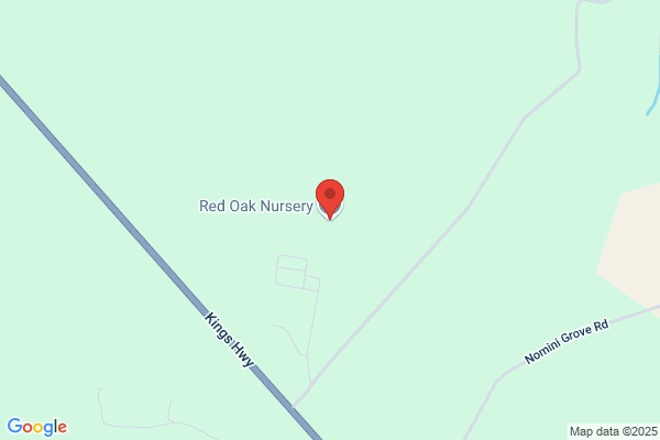 Red Oak Nursery