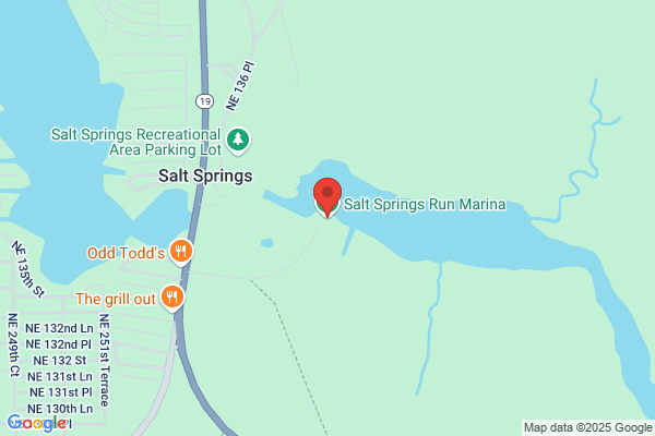 Salt Springs Run Marina & Landing Inc