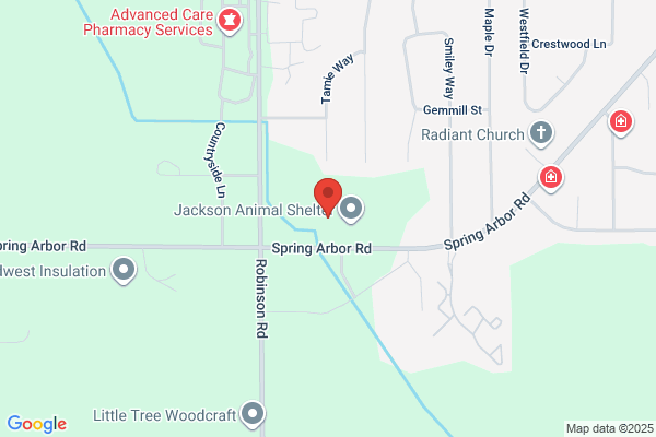 Jackson Pediatric Dentistry