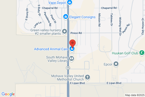 Pollys Chiropractic