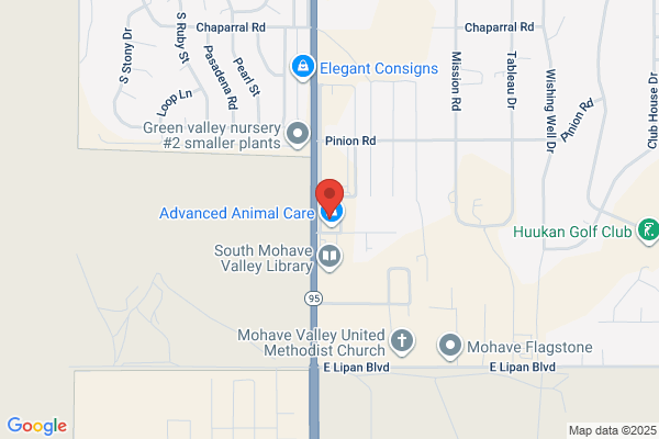 Nevada Biological Consulting LLC
