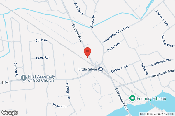 Little Silver Animal Hospital