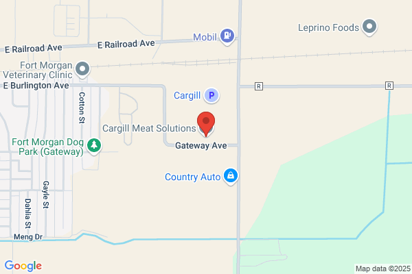 Hamlin Electric Co