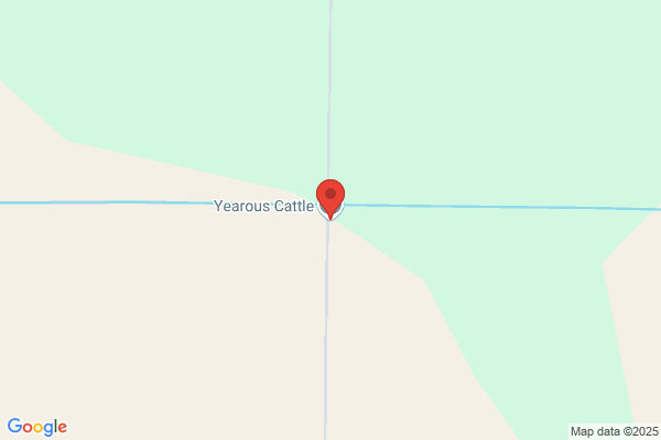 Yearous Trucking Inc