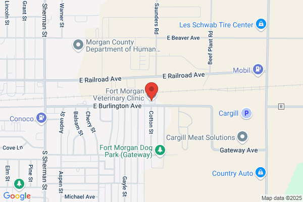 Fort Morgan Veterinary Clinic PC