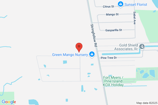 Trees Crane Service