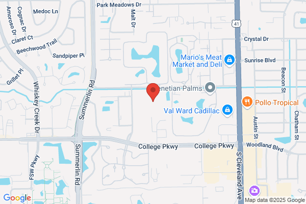 CPA's of Florida - Noack & Company LLC