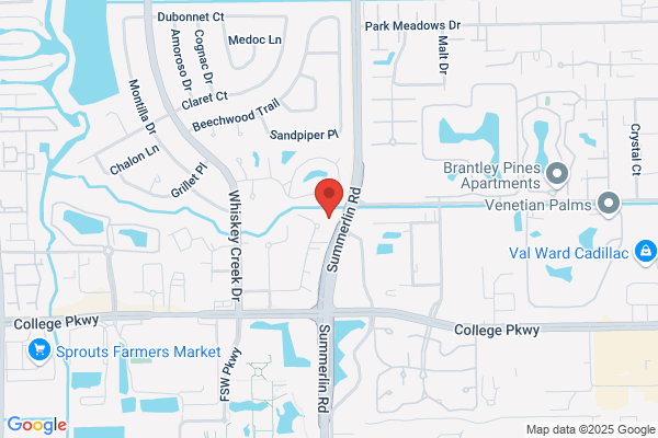 Gordon B Davis CPA PA