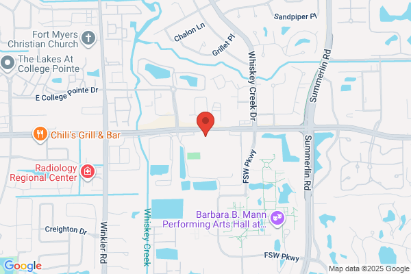 Back Pain Institute Of Ft Myers Inc