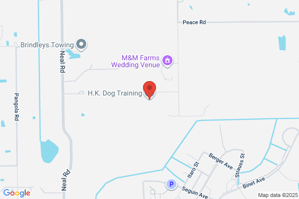 Relic's Tom Dog Training