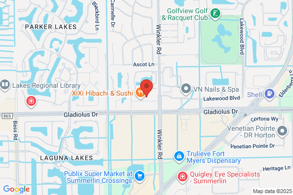 Advance Auto Parts