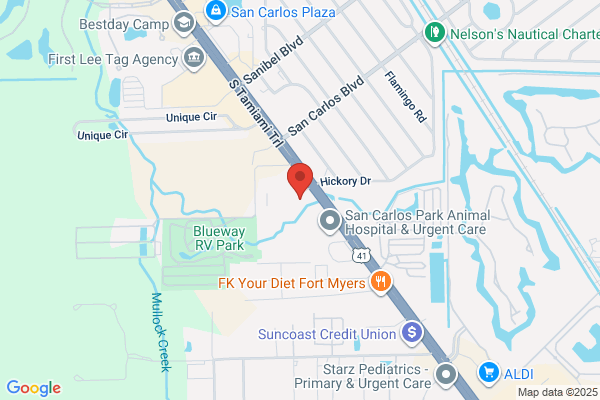 NAPA Auto Parts - Sunbelt Automotive Inc - San Carlos
