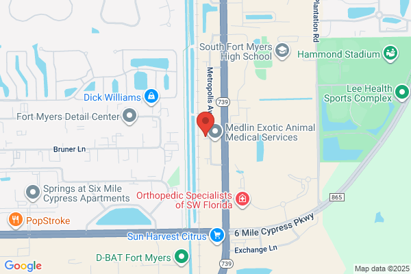 Silver Dean R MD