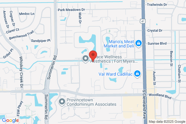 Music Academy of SW Florida