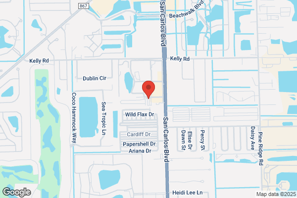 Cape Coral Electric Inc