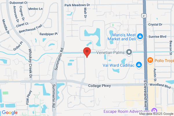 Vel Services Corp