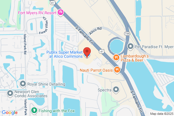 Publix Super Market at Alico Commons