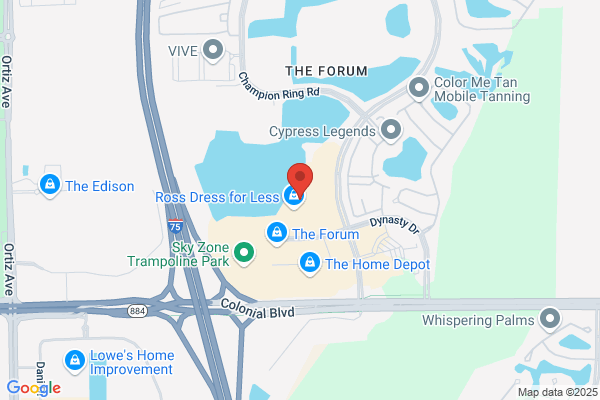 GoKING Mover Fort Myers