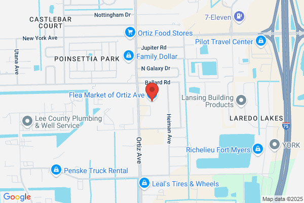 Flea Market of Ortiz Av