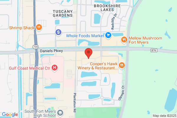 China Dragon of Fort Myers Inc