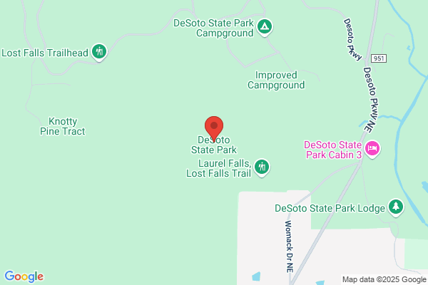 Desoto Mills Incorporated