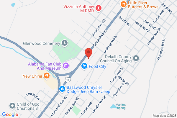Advance Auto Parts