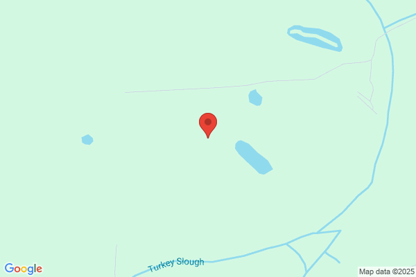 Overland Svcs Inc