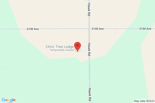 Lee Christmas Trees