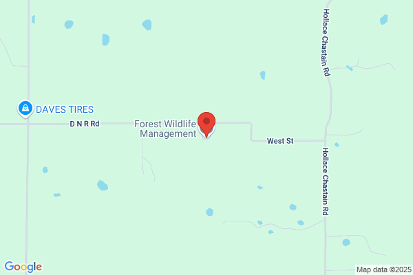 Forest Wildlife Management
