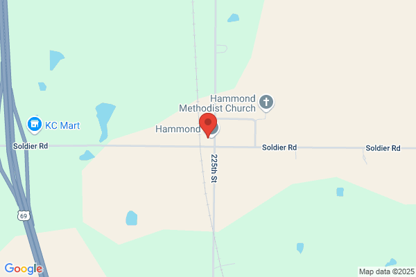 Hammonds Seed Co Inc