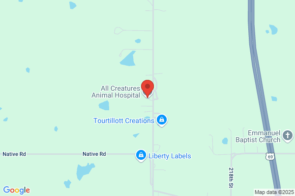All Creatures Animal Hospital