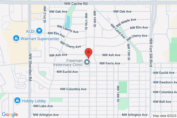 A Nu Image Salon