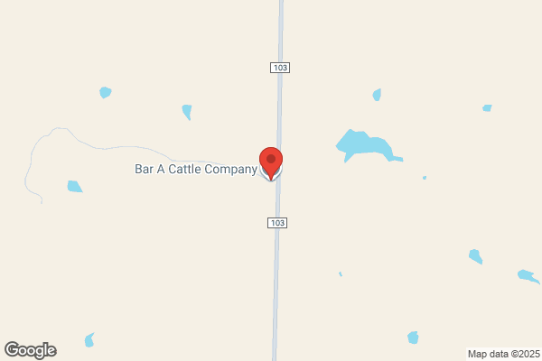 O Bar Cattle Company