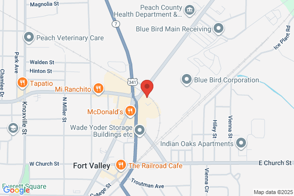 AutoZone Auto Parts